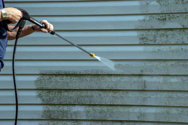 Best Residential Pressure Washing Services  in Dunbar, WV