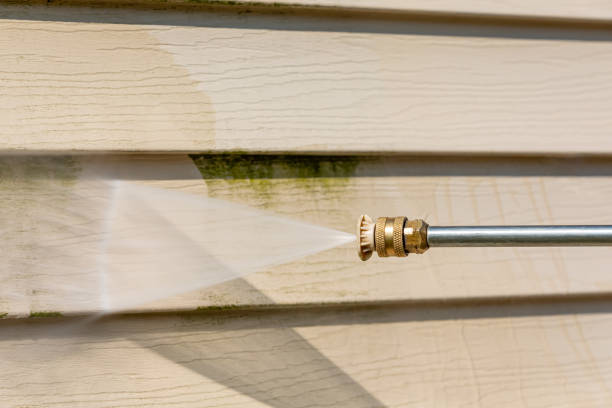 Best Affordable Pressure Washing  in Dunbar, WV